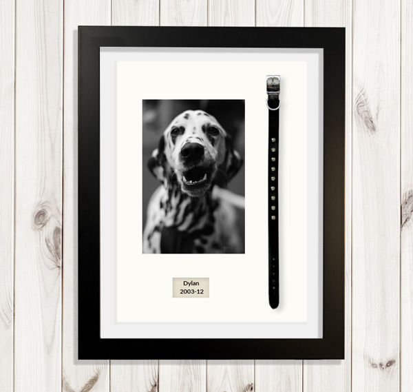 Frame your memories